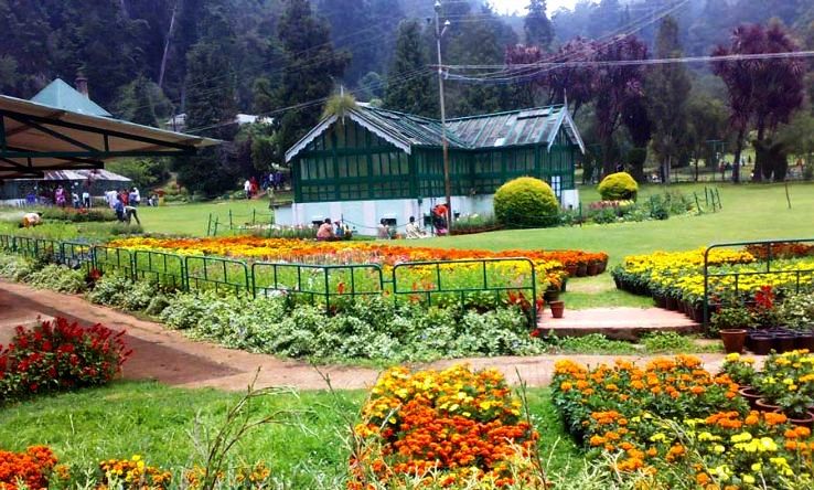5. Ooty - Mysore Tour Package